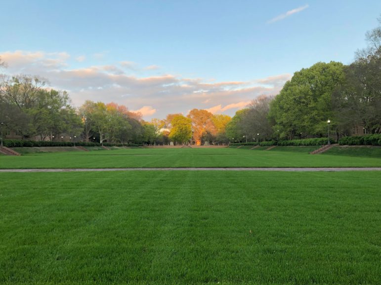 freshly mowed green grass quad of university with fall colors in background and low sun