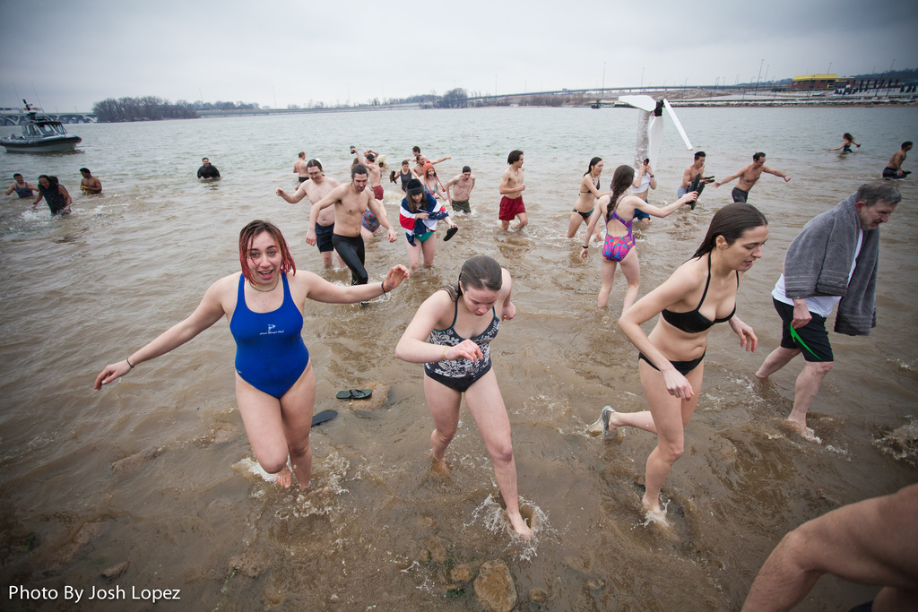 Polar plunge