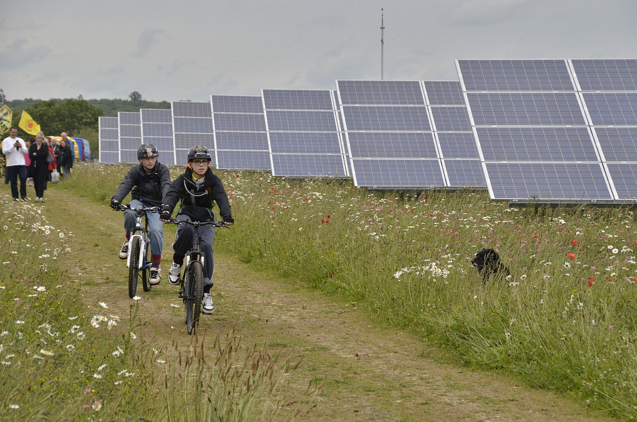 Westmill Solar Coop_wikimedia_Ben Cavanna