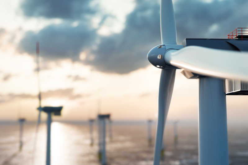 Offshore Wind Energy is a Breeze: Environmental & Wildlife Impacts