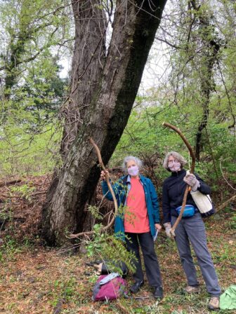 Action Members volunteering in the woods