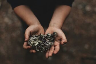 Moving Maryland Past Dirty Coal